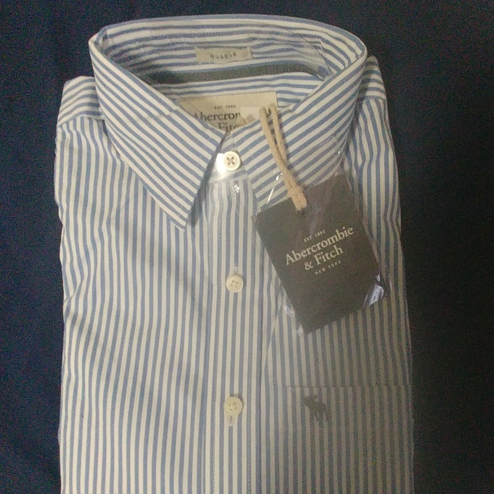 A & F Striped Dress Shirt